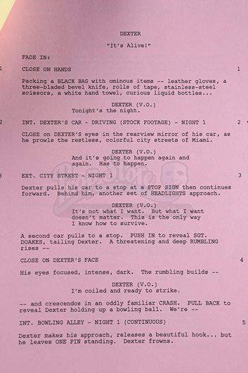 SEASON 2 - Shooting Script - Current price: $130