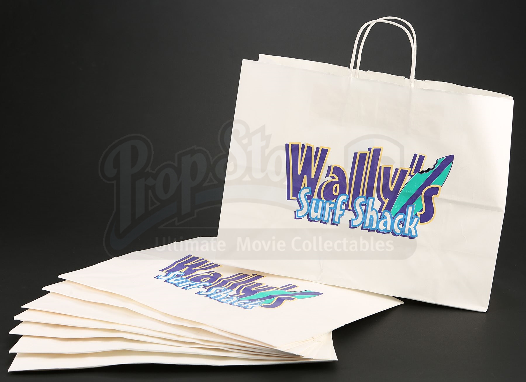 Tan Pam's (Jason Mantzoukas) Surf Shop Bag Set Current price 10