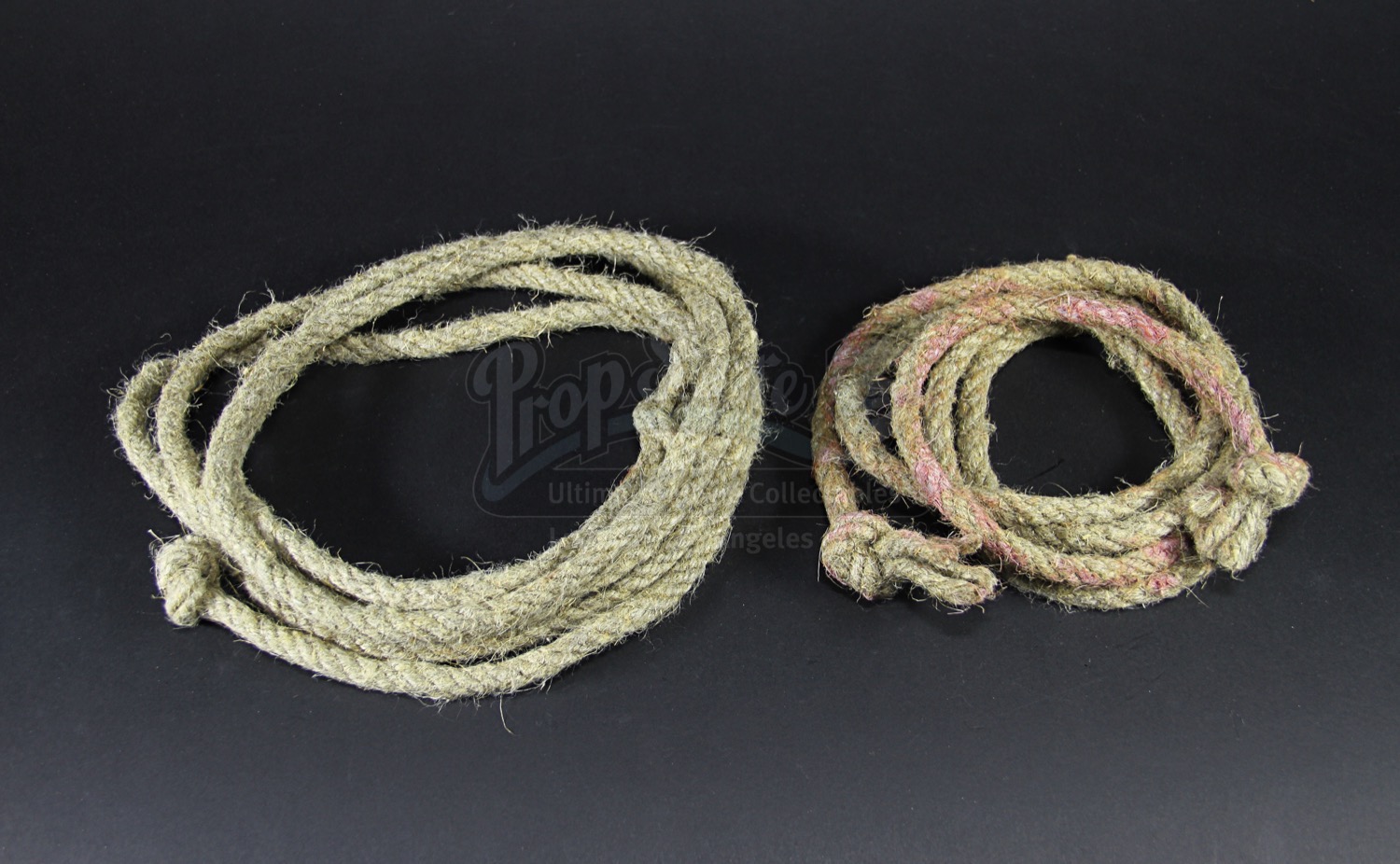 Mina Murray (Jessica De Gouw) Capture Scene Rope