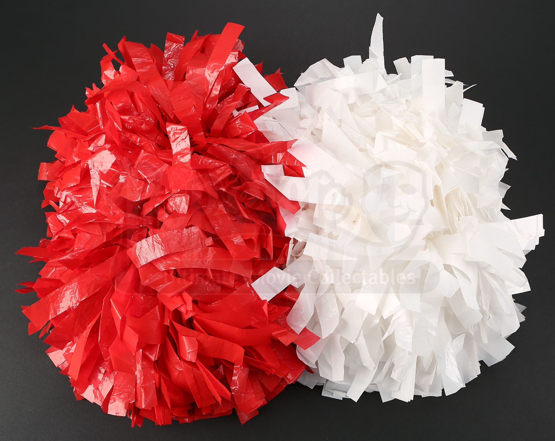 Rydell High Cheerleader Grease Pompoms