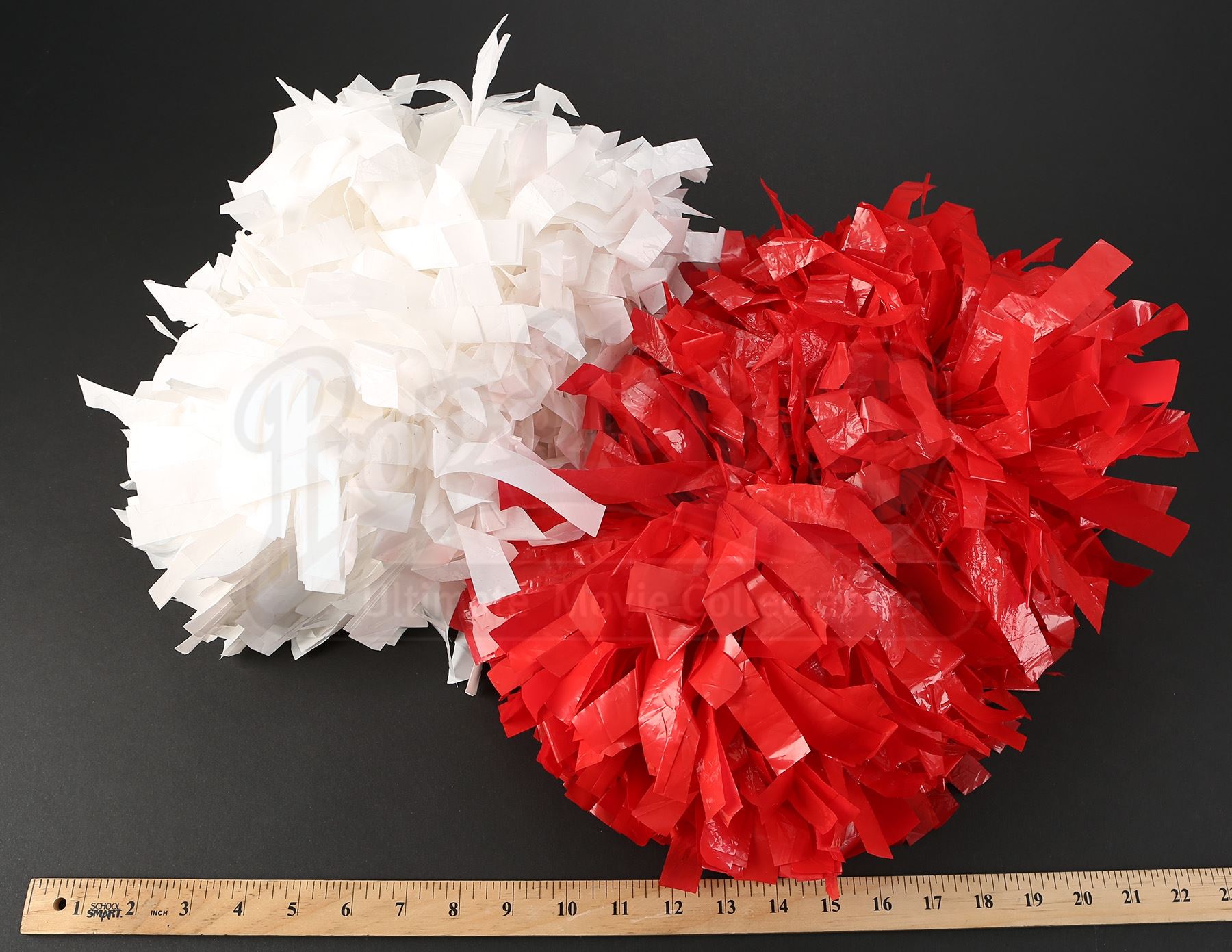 Rydell High Cheerleader Grease Pompoms