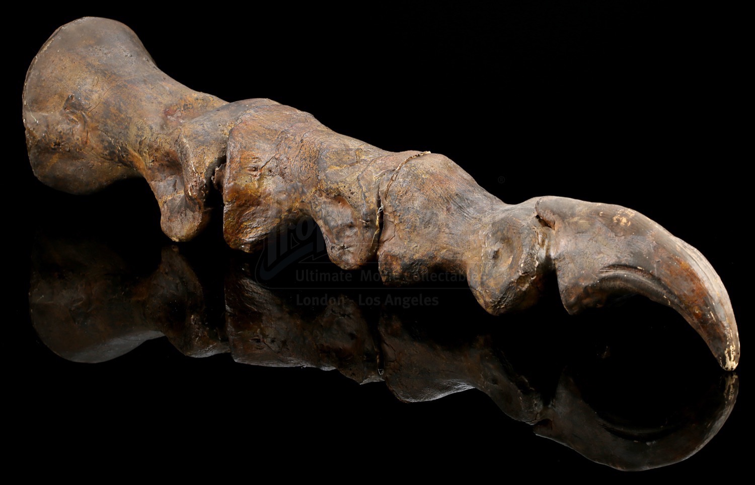t rex toe