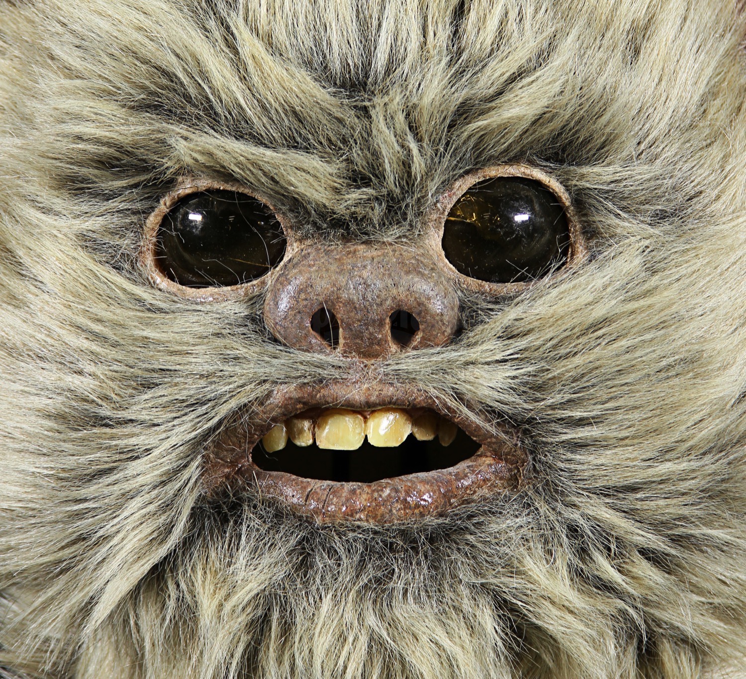 ewok bobble head