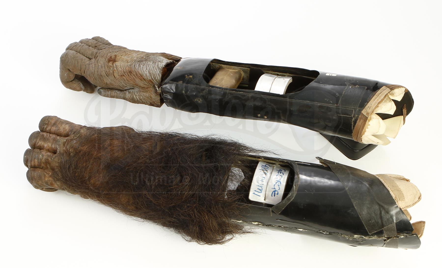 GREYSTOKE THE LEGEND OF TARZAN, LORD OF THE APES (1984) 'Knuckle