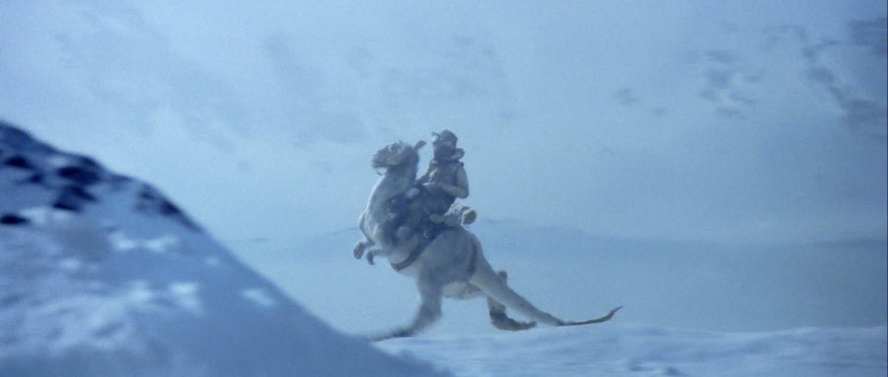 Star wars tauntaun gif