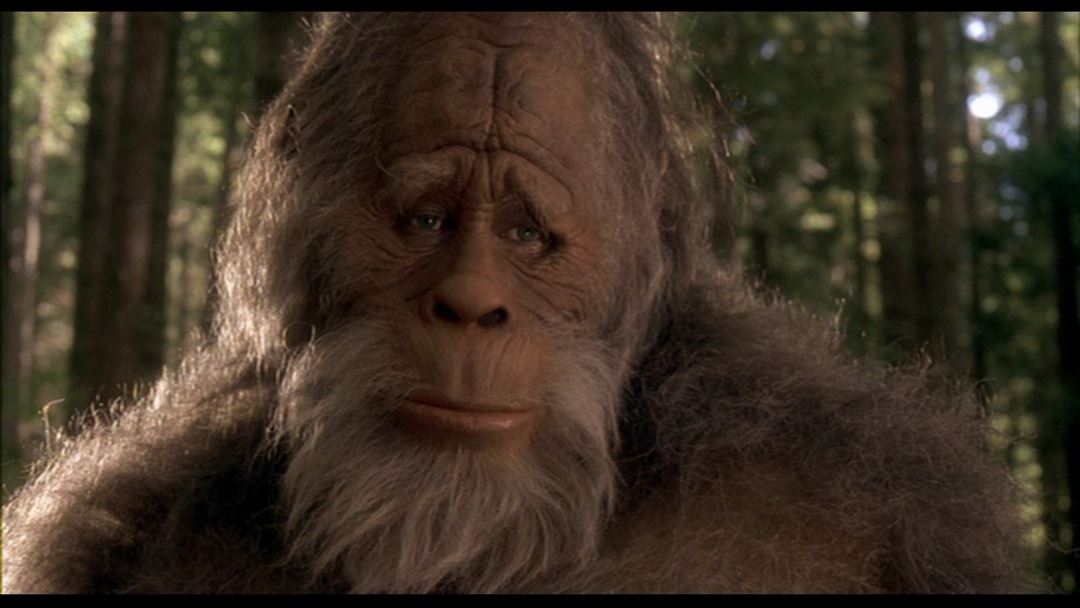 HARRY AND THE HENDERSONS (1987)