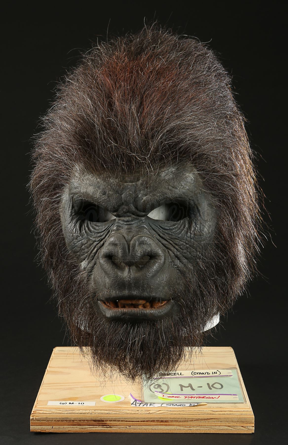 planet-of-the-apes-2001-attar-stand-in-gorilla-deryl-patterson