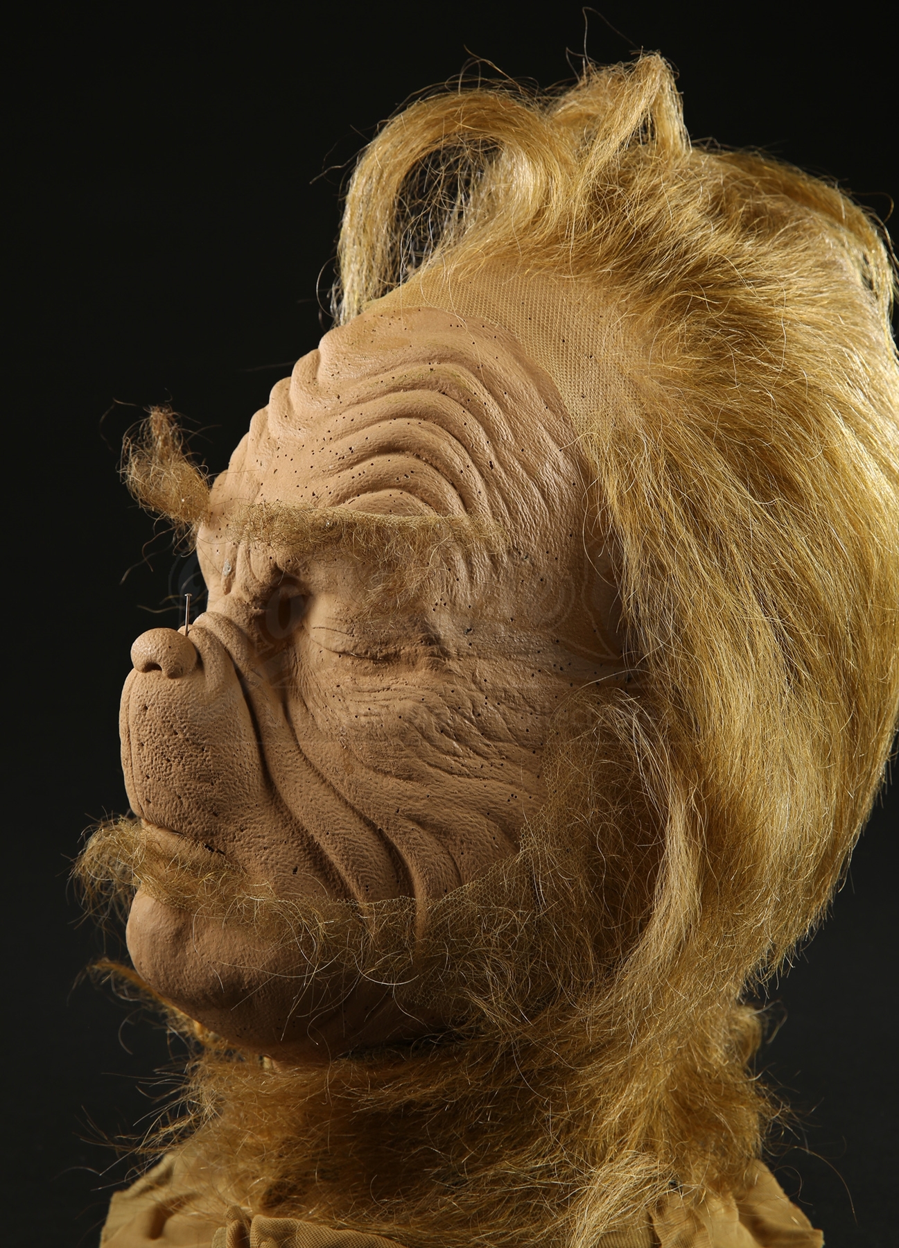 The Grinch Hairstyles Grinch Hair Teenage Stole 2000 Test Christmas 