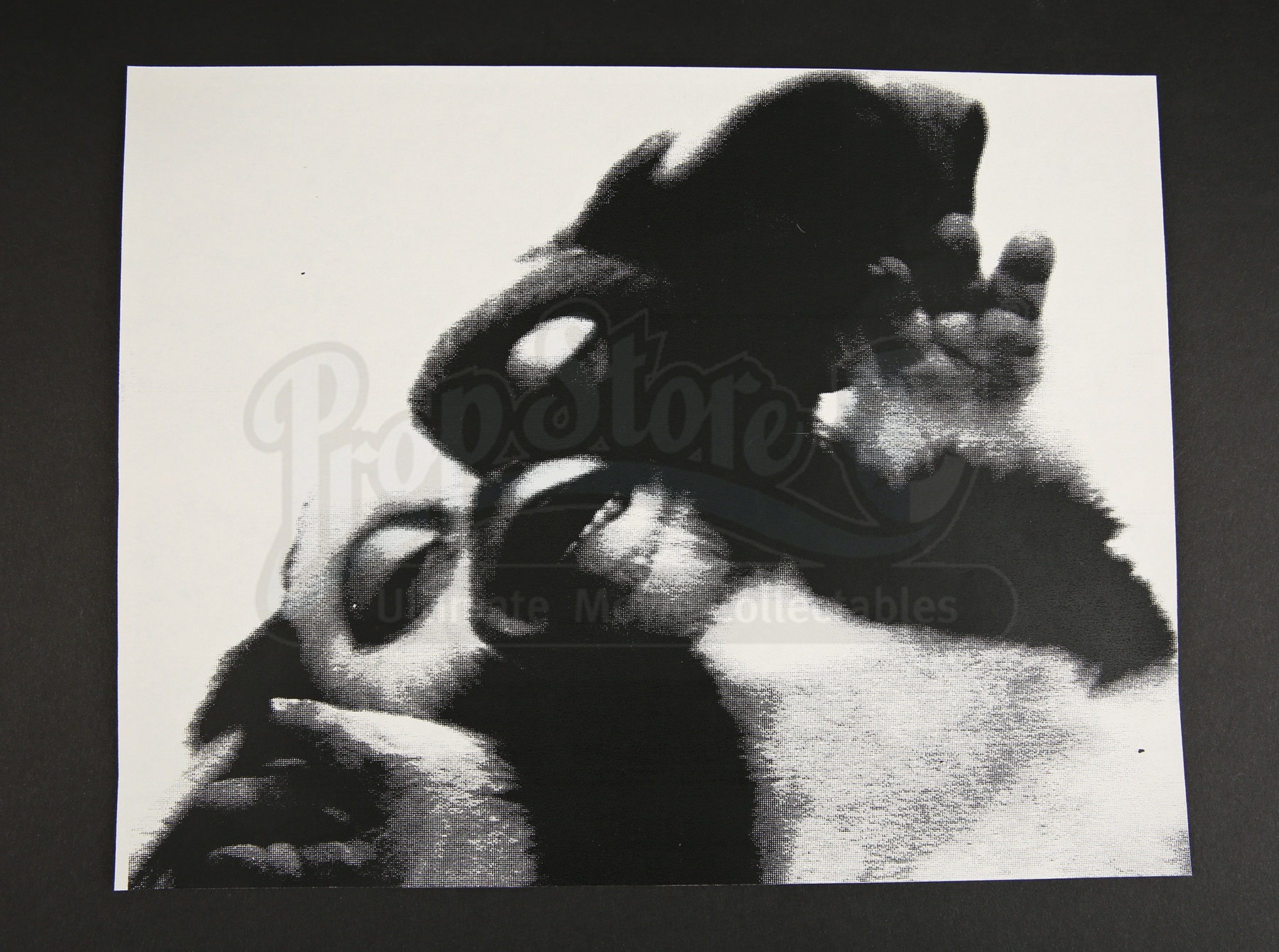 GREMLINS 2: THE NEW BATCH (1990) - Set of 4 Gizmo Xerox Photos