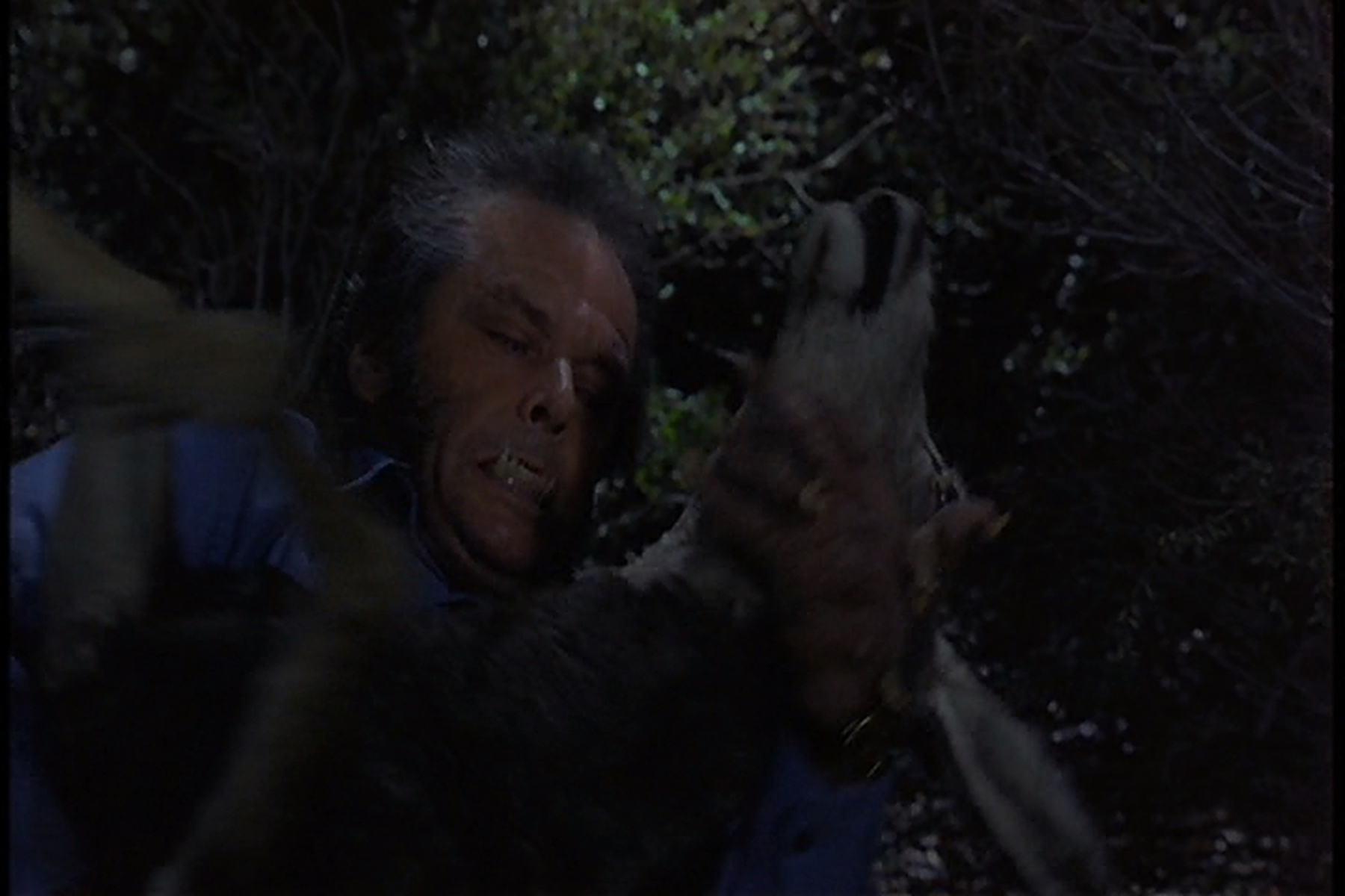 WOLF (1994) - Lot of Stewart (James Spader) Appliances and Wolf Paws ...