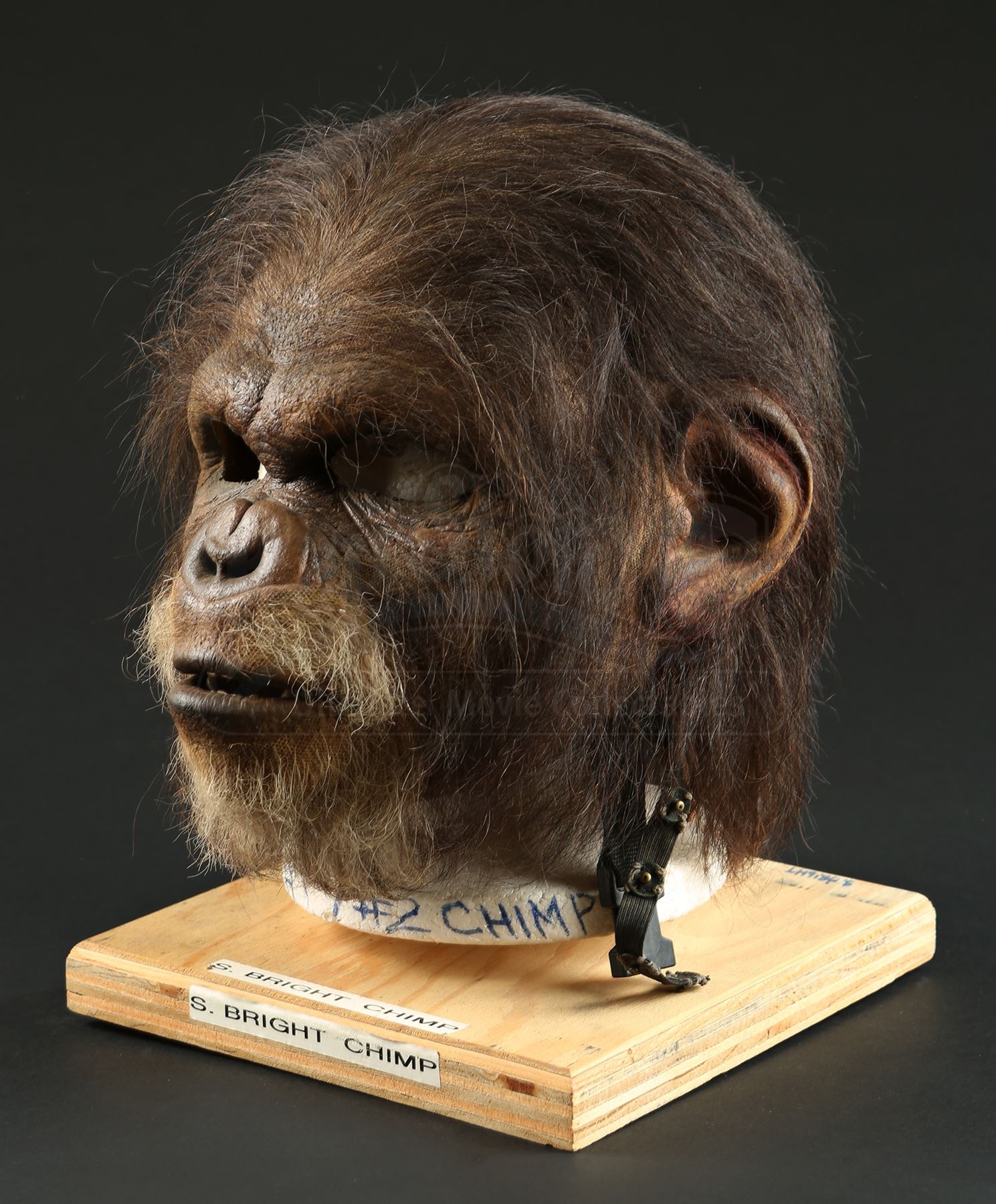 Cheeky Chimp Mask Planet of the Apes Black Hair