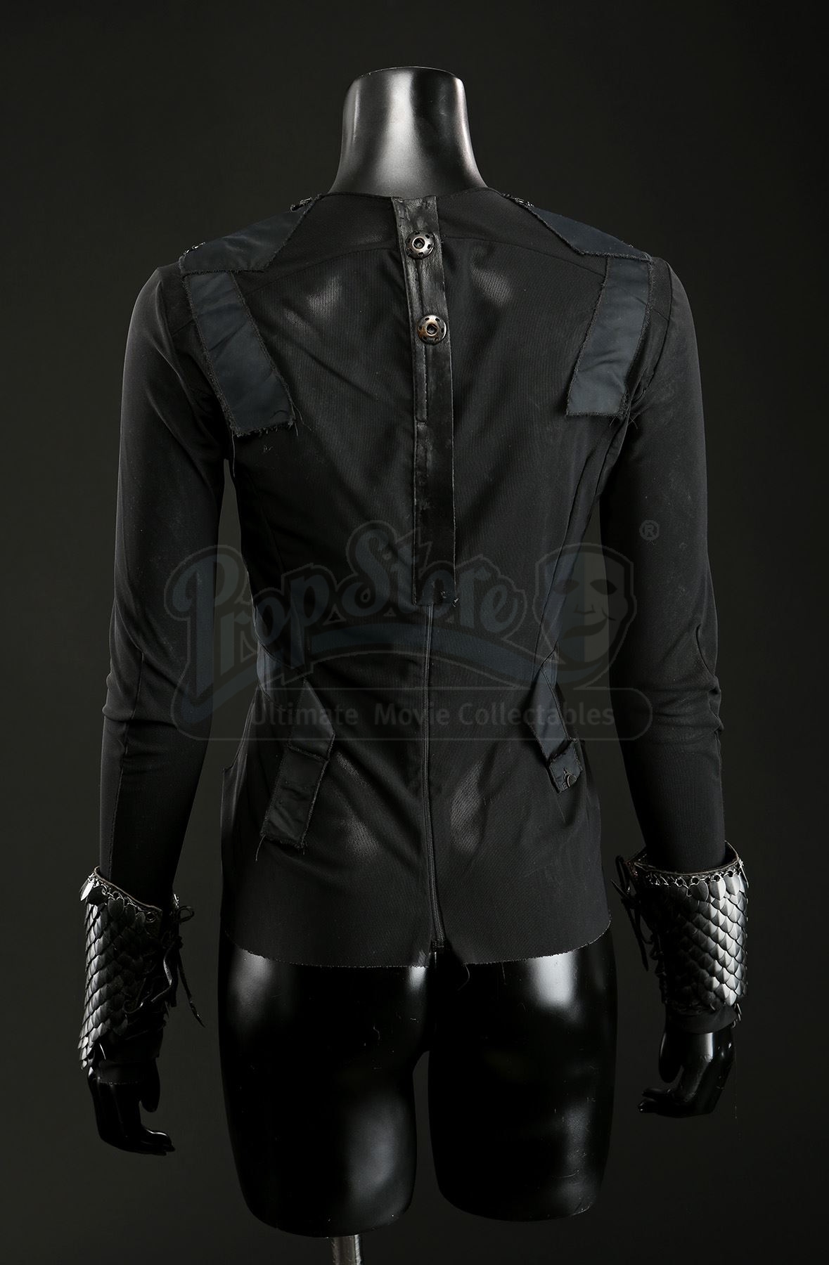 Mother Malkin's (Julianne Moore) Blouse, Gauntlets, and Shoes - Current ...