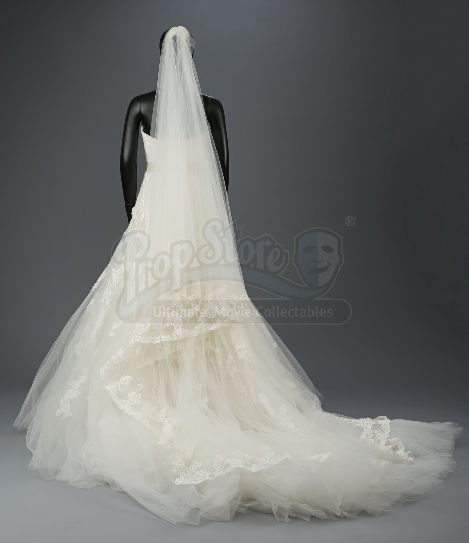 Bella Swan s Nightmare Wedding Dress And Veil Current Price 1400