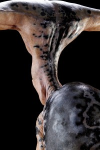 46040_Men_in_Black_2_Full_Hammerhead_Alien_11