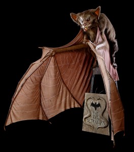 46055_Batman_Large_Bat_on_Rig_2