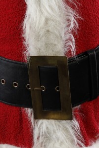 47106_Grinch_Complete_Grinch_Costume_3