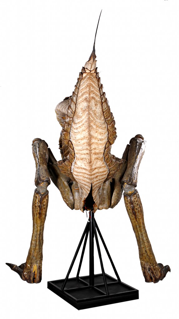 48260_Men_in_Black_Full_Size_Edgar_Bug_Character_4