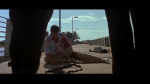 PDVD_261