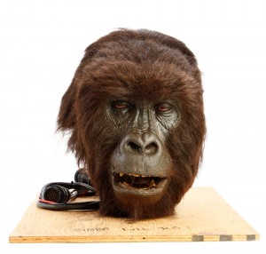 56.Simba RC Head and Remote 2