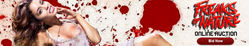 blogbanner-2