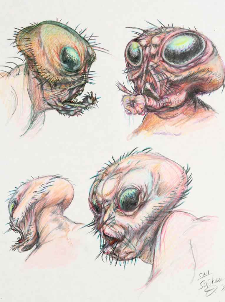 72014_Hand-Drawn-Fly-Concept-Artwork_3