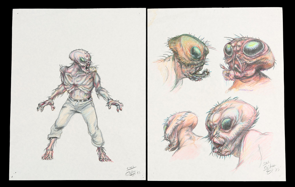 72014_Hand-Drawn Fly Concept Artwork_1